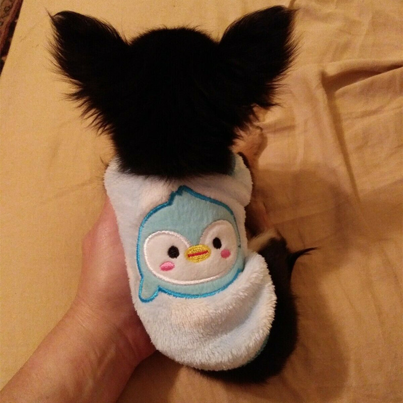 XXXS XXS XS Čivavas drēbju krūze Sīka ROTAĻLIETA Mīksta PJS kucēna suņa mētelis Vestes kaķa tērps Jorkijas maltietim