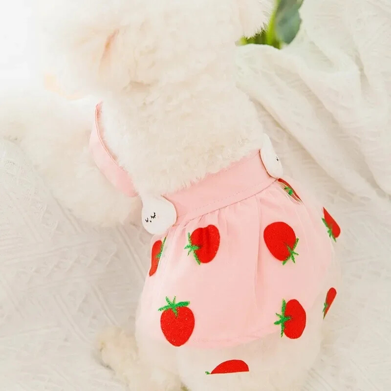 Vasaras kleita maziem suņiem, grezns suņu apģērbs, čivava, franču buldogs, bišona kostīms, mājdzīvnieku apģērbs, vestes kucēna svārki