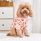 Mīlestības zemeņu augļu raksts rudens un ziemas aukstuma izolācija, silta kaķa un suņa universāla plīša mājdzīvnieka kapuce, jauns stils