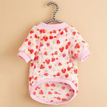 Love Strawberry Fruit Pattern Φθινοπωρινό και Χειμώνα Κρύο Μόνωση Ζεστή Γάτα και Σκύλο Universal βελούδινο κουκούλα για κατοικίδια νέο στυλ