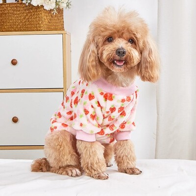 Love Strawberry Fruit Pattern Toamnă și iarnă Izolație la rece Cald pisică și câine Hanorac universal de pluș pentru animale de companie Stil nou