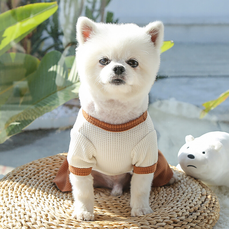 Pavasara vasaras kleita sunim mājdzīvnieku svārki mājdzīvnieku mīļotāju apģērbi Ērts, mīksts kucēns Suņi kaķi Vestes kleita mājdzīvnieku apģērbi suņu apģērbi