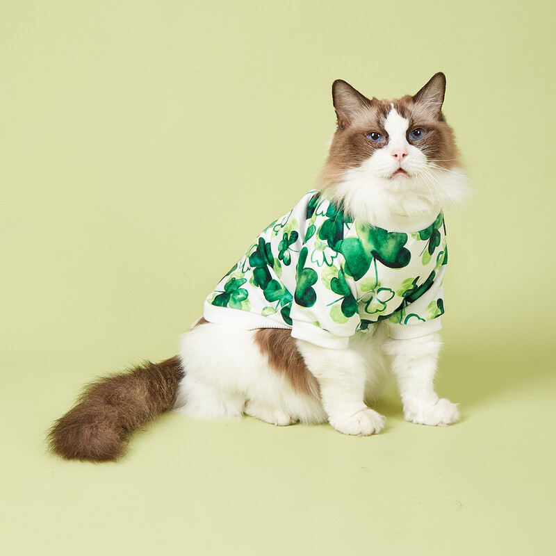 Svētā Patrika diena Mājdzīvnieku drēbes Suņu bruņurupucis Smieklīgs āboliņa krekls Jauki kucēnu kostīmu apģērbi maziem un vidējiem suņiem Kaķiem Mājdzīvnieki