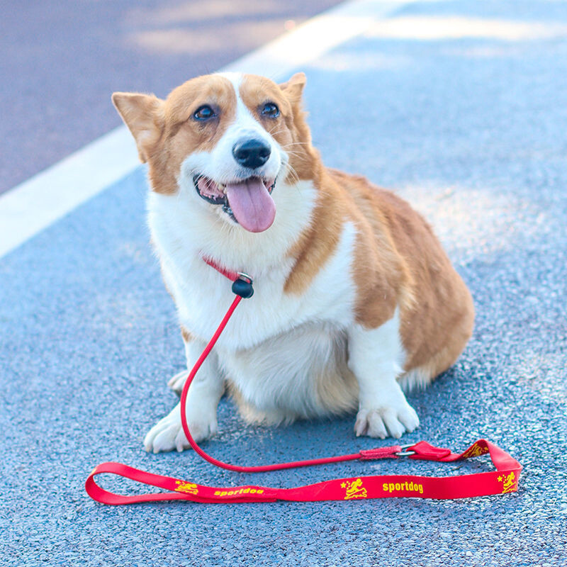 Povodac s užetom za treniranje psa koji se guši, 2 u 1 ogrlica s povodcem 150 cm, povodac za kontrolu proklizavanja povodca u obliku slova P za male, velike natjecateljske pse