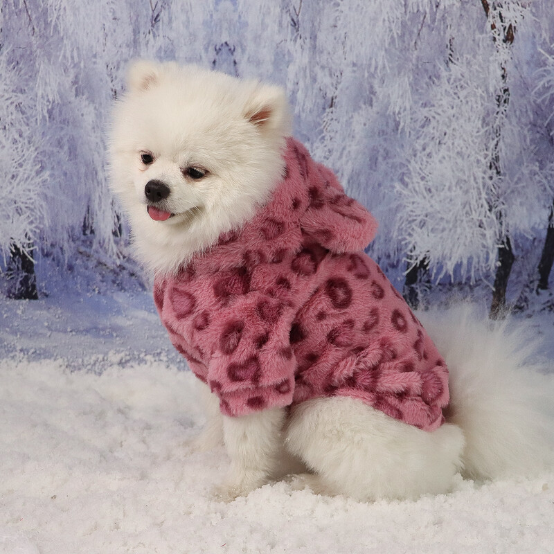 Šilti rūbai šuniui katės šuniuko striukė su gražia ausų kepure, neryškiu paltu, megztiniai, šunų kostiumai mažam ir vidutiniam šuniui