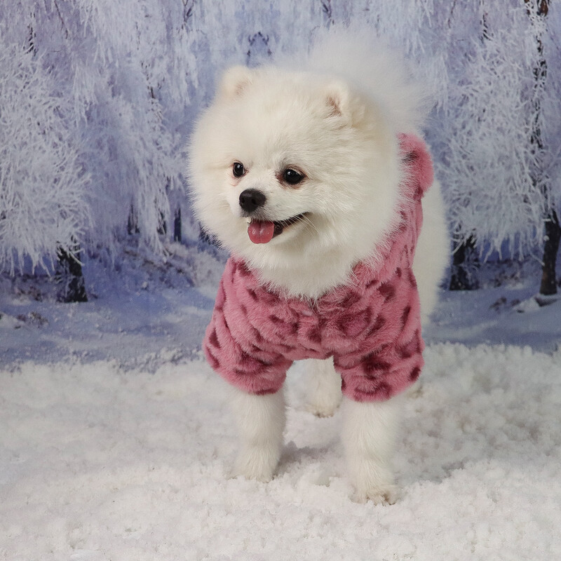 Šilti rūbai šuniui katės šuniuko striukė su gražia ausų kepure, neryškiu paltu, megztiniai, šunų kostiumai mažam ir vidutiniam šuniui