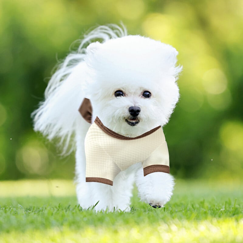 Vasarinė šunų liemenė Animacinių filmų spausdinimas Naminių gyvūnėlių drabužiai Šunų Drabužiai Šunų Drabužiai Paltas Suknelė Aksesuarai šunų kostiumas Šnauceris