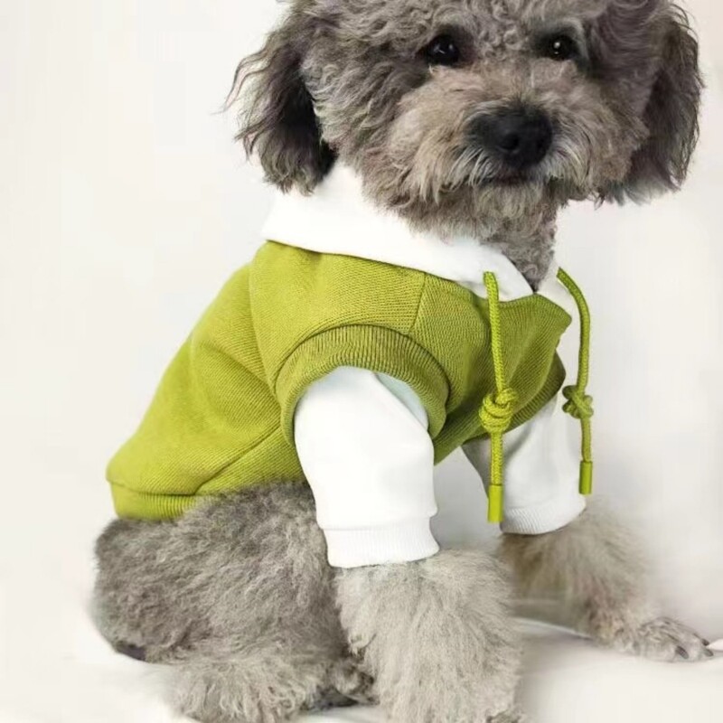 Rūbai šuniui Žieminiai megztiniai su gobtuvu, šilti prancūzų buldogo šuniuko paltai mažiems ir vidutiniams šunims Naminio gyvūno kostiumas Čihuahua Mopsas
