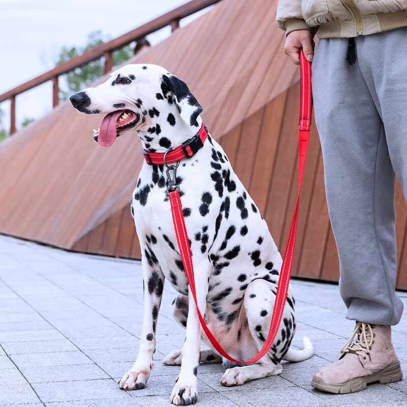 IZVRSAN ELITE SPANKER Povodac za pse Reflektirajući povodac za trčanje Povodac za kućne ljubimce Štene Podesivi povodci za pse Udobno kratko uže