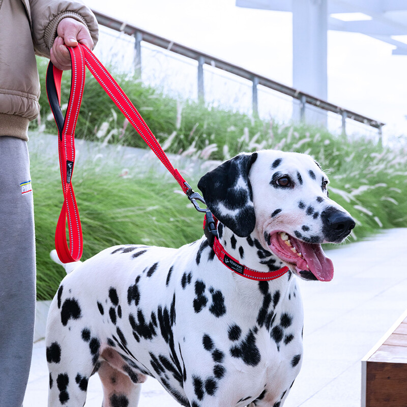 IZVRSAN ELITE SPANKER Povodac za pse Reflektirajući povodac za trčanje Povodac za kućne ljubimce Štene Podesivi povodci za pse Udobno kratko uže