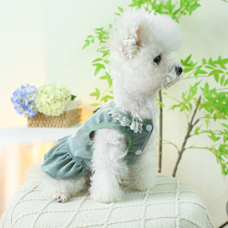 1 gab. Mājdzīvnieku apģērbs Kaķu pavasara/vasaras plānas truša krūtis muguras svārki Zaļi princeses svārki, kas piemēroti maziem un vidējiem suņiem