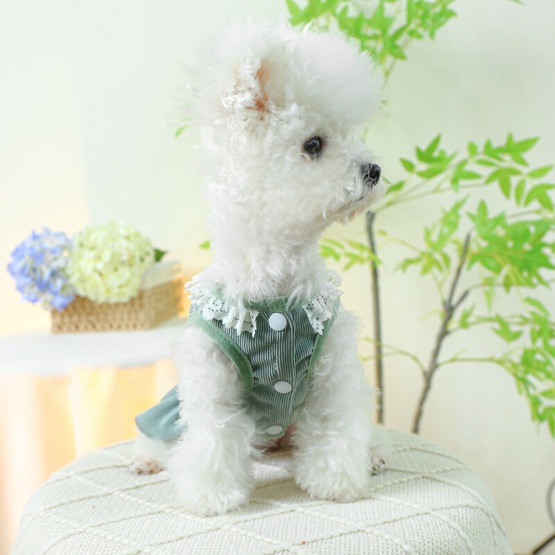 1 gab. Mājdzīvnieku apģērbs Kaķu pavasara/vasaras plānas truša krūtis muguras svārki Zaļi princeses svārki, kas piemēroti maziem un vidējiem suņiem