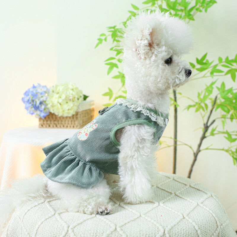 1 gab. Mājdzīvnieku apģērbs Kaķu pavasara/vasaras plānas truša krūtis muguras svārki Zaļi princeses svārki, kas piemēroti maziem un vidējiem suņiem
