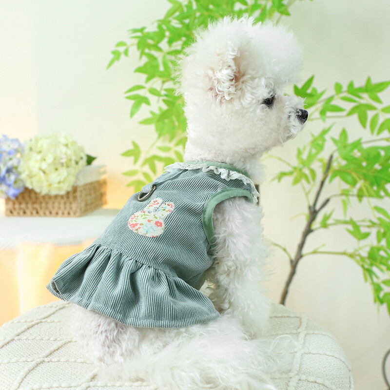 1 gab. Mājdzīvnieku apģērbs Kaķu pavasara/vasaras plānas truša krūtis muguras svārki Zaļi princeses svārki, kas piemēroti maziem un vidējiem suņiem