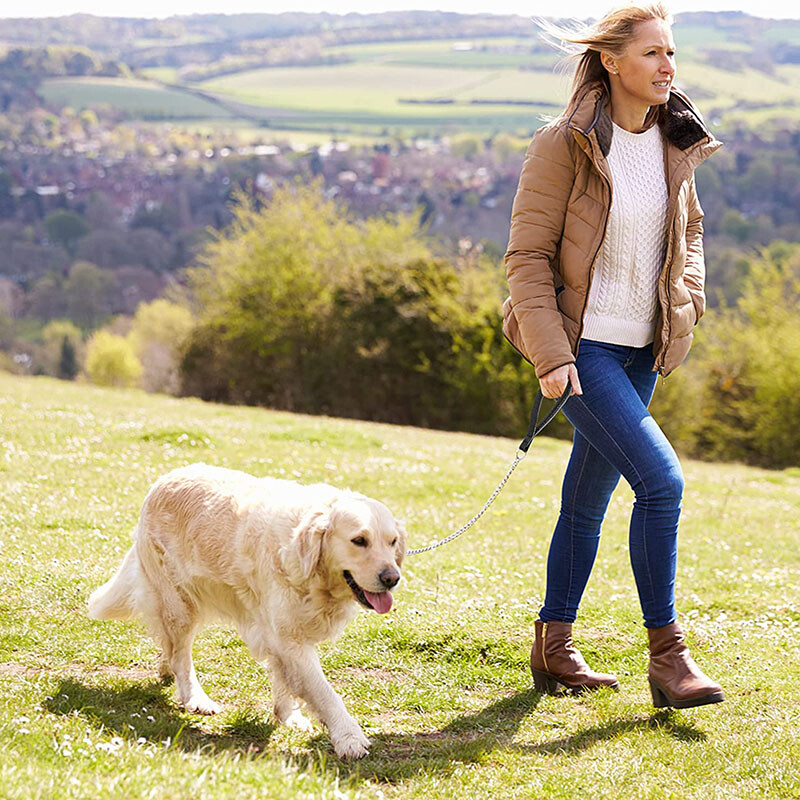 120 cm Lieljaudas pretkodienu suņu siksna ar ādas rokturi Ķēdes suņu pavada Izturīga metāla košļājamā suņu apmācības pavada