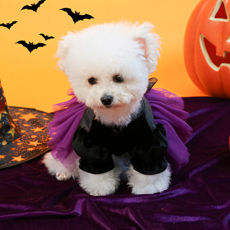 1 gab. Mājdzīvnieku apģērbs kaķu rudens/ziemas Helovīnam Mazās raganiņas kāzu kleita Princeses kleita, kas piemērota maziem un vidējiem suņiem