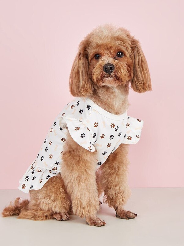 Q16 Pavasara un vasaras plānās daļas kaķis kaķēns mazs lidojošs piedurkņu kleita suns divu pēdu apģērbs kaķēns truša suns kleita