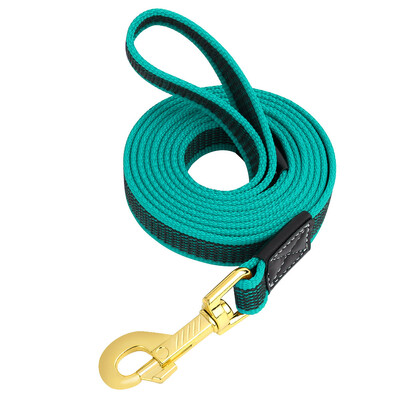 2 m ilgio šunų pavadėlis naminių gyvūnėlių pavadėlis, neslystantis guminis nailoninis treniruoklis vaikščiojimo virvei šunų pavadėliai mažiems vidutinio dydžio šunims