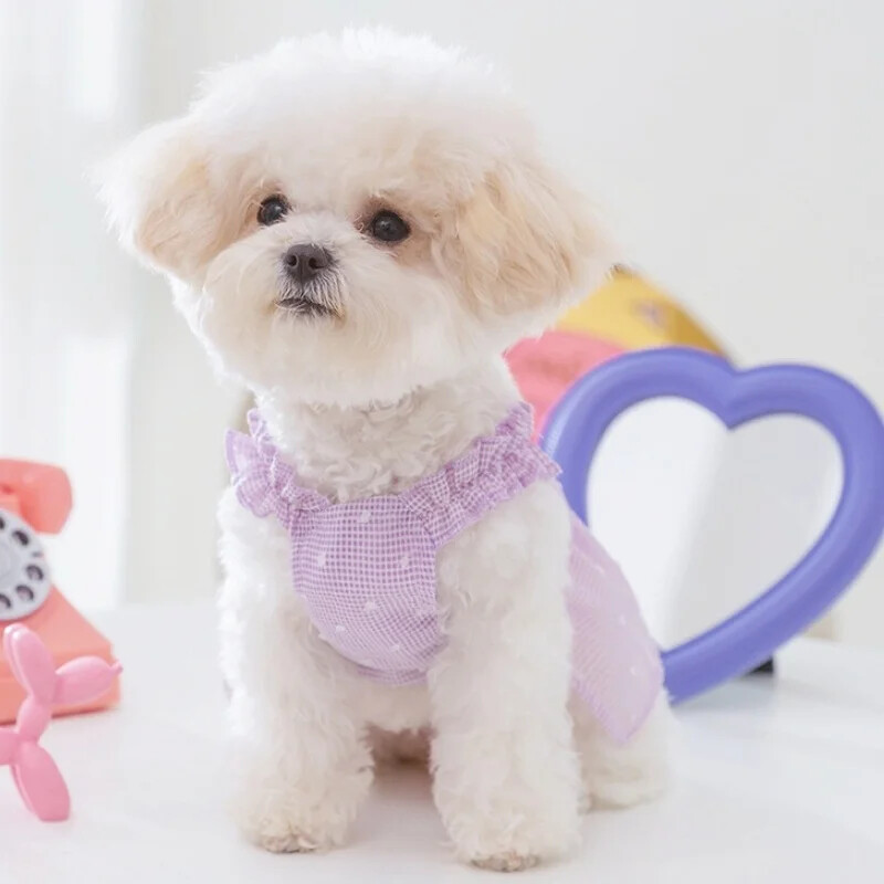 Lilleline Printsessi Koerakleit Suvine Koerariided Mood Kutsika Pulmasärk Armas Paljas Kassi Suspender Kleit Lemmiklooma Riided Koerte Kostüümid