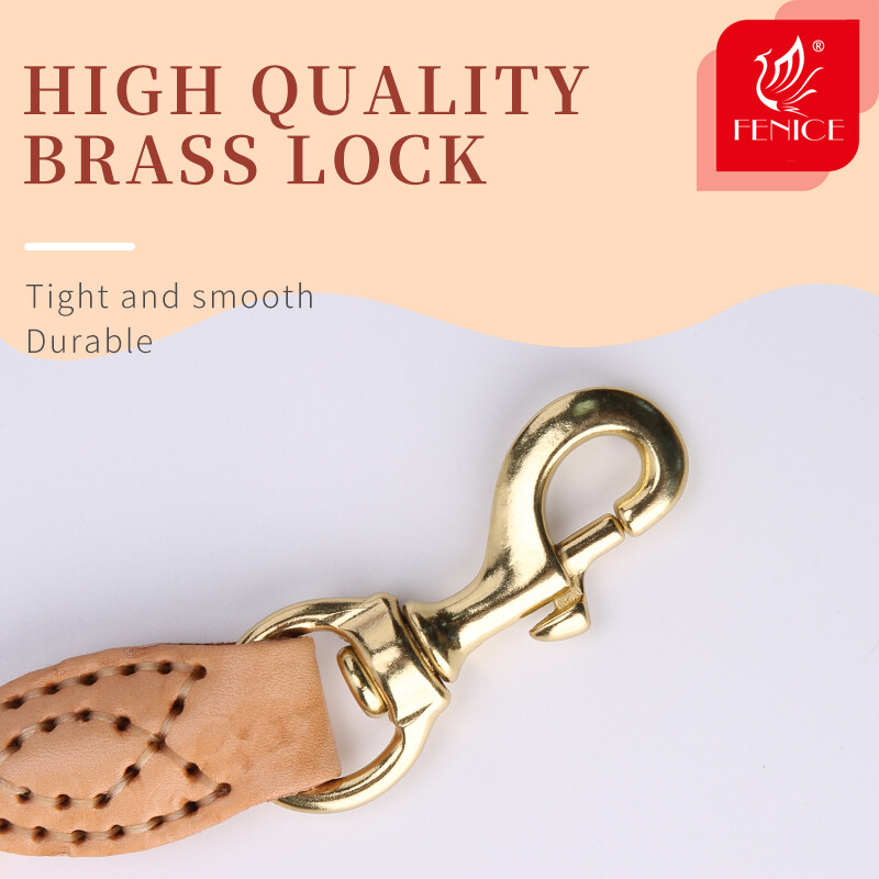 Fenice šunų pavadėlis apvalus medvilninis šunų švininis lynas Spalvoti naminių gyvūnėlių ilgi pavadėliai Diržas Lauko šunų vedžiojimo treniruotės lynai