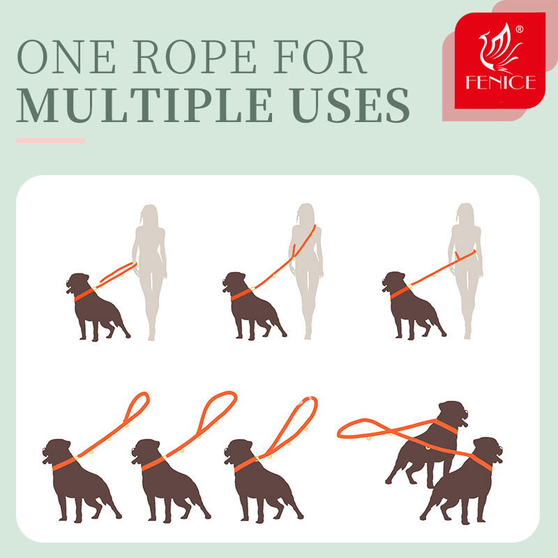 Fenice šunų pavadėlis apvalus medvilninis šunų švininis lynas Spalvoti naminių gyvūnėlių ilgi pavadėliai Diržas Lauko šunų vedžiojimo treniruotės lynai