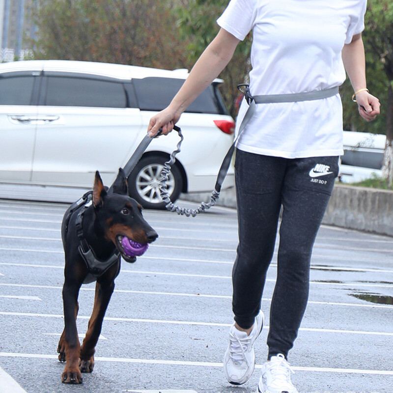 Elastinė buferinė sprogimui atspari skalavimo daugiafunkcinė šunų vedžiojimo grandinė, šunų traukimo lynas, reikmenys naminiams gyvūnėliams, bėgimo virvė