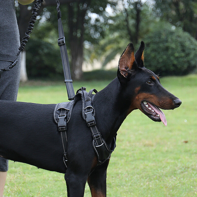 Elastinė buferinė sprogimui atspari skalavimo daugiafunkcinė šunų vedžiojimo grandinė, šunų traukimo lynas, reikmenys naminiams gyvūnėliams, bėgimo virvė