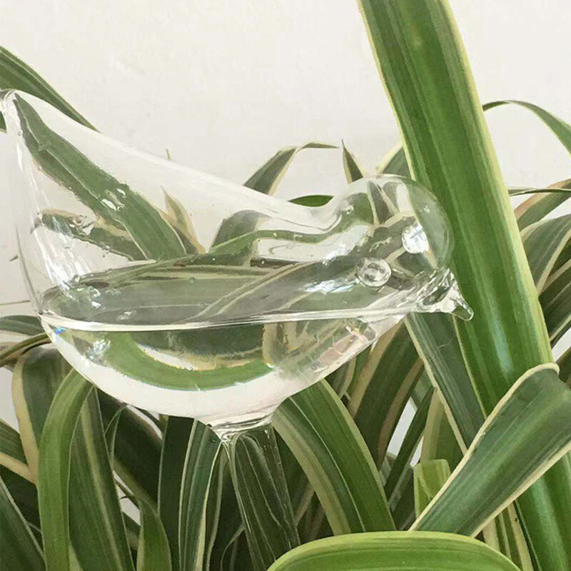 1 gab. Automātiska ziedu laistīšanas ierīce Augu laistītājs Pašdzirdināšanas globusi putna formas ar rokām pūstas caurspīdīgas plastmasas ūdens spuldzes