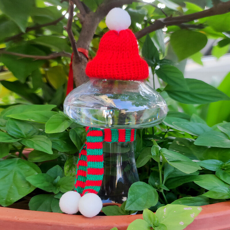 Automātiska laistīšanas ierīce, slinka laistīšana, sadzīves ūdens nosūkšanas ierīce, sulīgu augu smidzinātājs, pilinātājs, pilienveida apūdeņošana sy