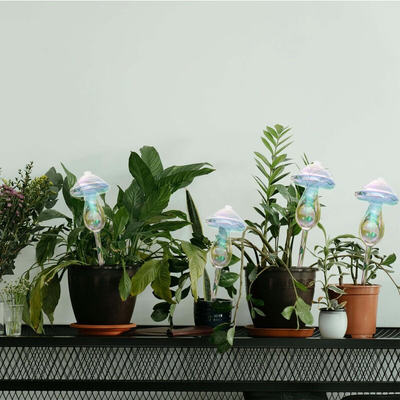Ekstra velika žarulja za samonavodnjavanje biljaka, staklena žarulja svijetlih duginih boja za unutarnje i vanjske prostore, kapaljka za biljke koja se sama zalijeva