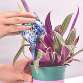 1pc-Ball Stakleni uređaj za automatsko navodnjavanje Zelena biljka u kućanstvu Uređaj za navodnjavanje kap po kap