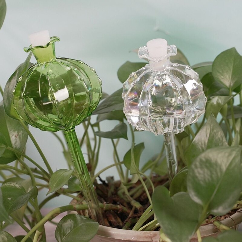 Automatska žardinjera za kaktuse sa samozalijevanjem Staklene žardinjere za kaktuse s automatskim zalijevanjem biljaka Slatka hranilica vode za biljke Staklene žarulje za unutarnje prostore