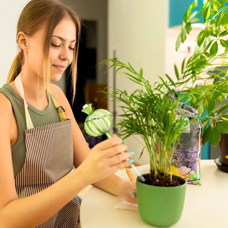 Automatska žardinjera za kaktuse sa samozalijevanjem Staklene žardinjere za kaktuse s automatskim zalijevanjem biljaka Slatka hranilica vode za biljke Staklene žarulje za unutarnje prostore