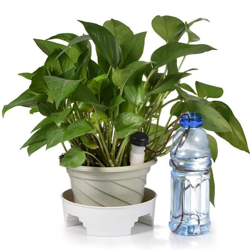 Augu pašlaistīšanas ierīce Automātiskā laistīšanas smailes stabiņš Augu pašpilināmā apūdeņošana, lēnas darbības ūdens pilinātājs ielietajam augam