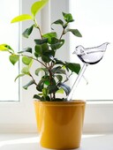 Automatski sustav za navodnjavanje kap po kap Prozirna plastika u obliku ptice za unutarnje kućanstvo Vrtna posuda za zalijevanje Hranilica za vodu Uređaj za samozalijevanje