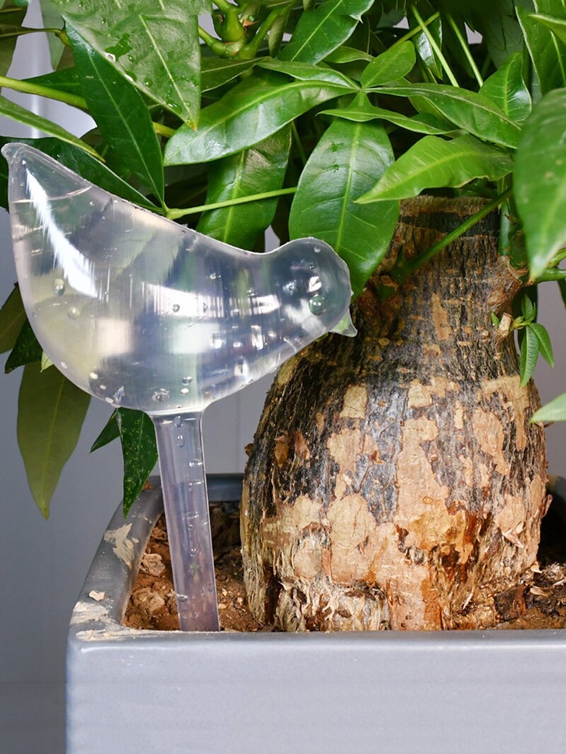 Automatski sustav za navodnjavanje kap po kap Prozirna plastika u obliku ptice za unutarnje kućanstvo Vrtna posuda za zalijevanje Hranilica za vodu Uređaj za samozalijevanje