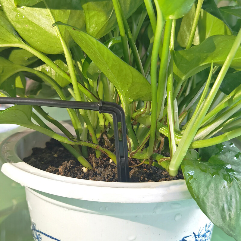 Siltumnīcas pilienveida apūdeņošanas komplekts Automātiskā dārza laistīšanas sistēma 4 virzienu 4/7 mm līdz 3/5 mm šļūtenes pilinātājs podos augu dārzeņu pundurkociņam