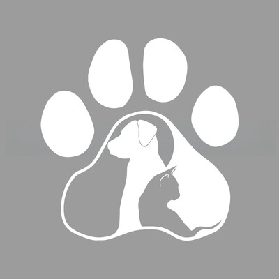 Paws Cat and Dog Diary δημιουργικά και αστεία αυτοκόλλητα για λάτρεις και λάτρεις των κινουμένων σχεδίων, υψηλής ποιότητας για φορτηγά αυτοκινήτων μοτοσικλέτες και φορητούς υπολογιστές