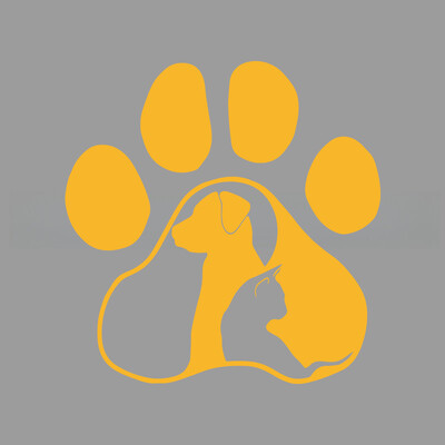 Paws Cat and Dog Diary δημιουργικά και αστεία αυτοκόλλητα για λάτρεις και λάτρεις των κινουμένων σχεδίων, υψηλής ποιότητας για φορτηγά αυτοκινήτων μοτοσικλέτες και φορητούς υπολογιστές
