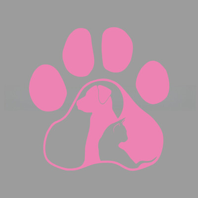 Paws Cat and Dog Diary δημιουργικά και αστεία αυτοκόλλητα για λάτρεις και λάτρεις των κινουμένων σχεδίων, υψηλής ποιότητας για φορτηγά αυτοκινήτων μοτοσικλέτες και φορητούς υπολογιστές
