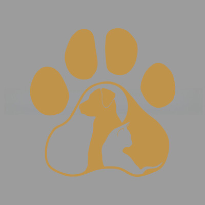 Paws Cat and Dog Diary δημιουργικά και αστεία αυτοκόλλητα για λάτρεις και λάτρεις των κινουμένων σχεδίων, υψηλής ποιότητας για φορτηγά αυτοκινήτων μοτοσικλέτες και φορητούς υπολογιστές