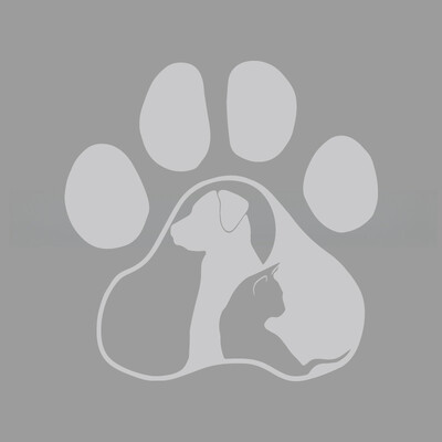 Paws Cat and Dog Diary δημιουργικά και αστεία αυτοκόλλητα για λάτρεις και λάτρεις των κινουμένων σχεδίων, υψηλής ποιότητας για φορτηγά αυτοκινήτων μοτοσικλέτες και φορητούς υπολογιστές