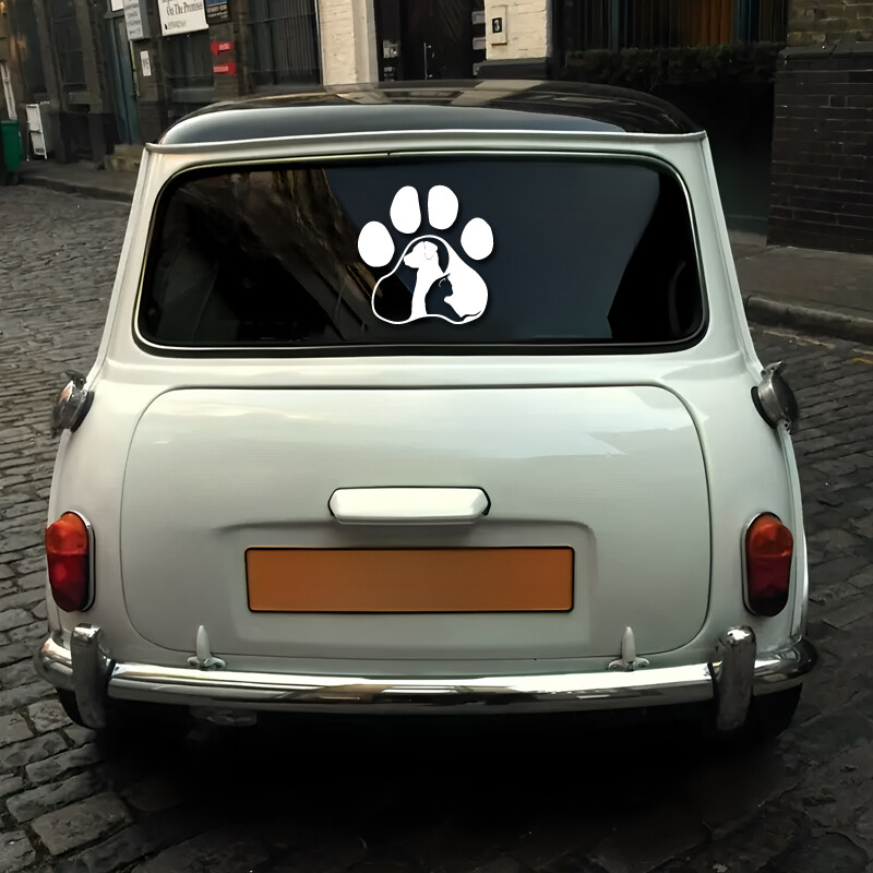 Paws Cat and Dog Diary kreativne i smiješne naljepnice za obožavatelje i ljubitelje crtića, visoke kvalitete za automobile, kamione, motocikle i prijenosna računala