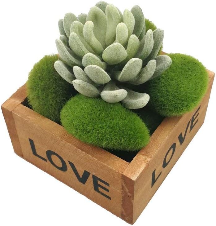 10kom Simulacija kamena mahovine Umjetna mahovina Kamenje Lopta Lažna zelena biljka za kućni vrt Ukras teglica za cvijeće Kreativni zanati