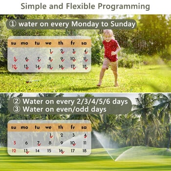 Diivoo Irrigation Water Timer Garden Αυτόματος ελεγκτής στάγδην άρδευσης με σύστημα αυτόματου ποτίσματος για θερμοκήπιο στο σπίτι