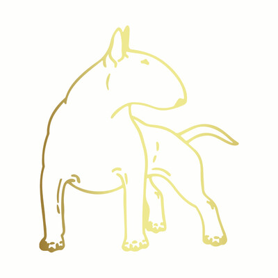 Automašīnas uzlīme Vinila 12,3*14cm Bulterjers Suns Jautrs Suns Personiskā uzlīme uz Automašīnas Smieklīgas 3D Uzlīmes Motocikla Uzlīmes Automašīnu stils