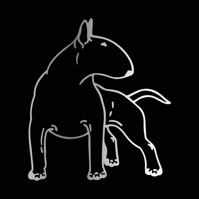 Automašīnas uzlīme Vinila 12,3*14cm Bulterjers Suns Jautrs Suns Personiskā uzlīme uz Automašīnas Smieklīgas 3D Uzlīmes Motocikla Uzlīmes Automašīnu stils