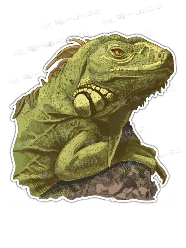 Hüllőmatricák – autó lökhárítók, ablakmatricák, matricák – vízálló és fényvédő vinil matricák