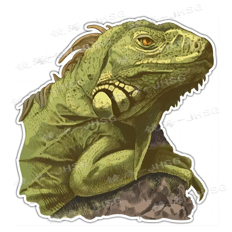 Hüllőmatricák – autó lökhárítók, ablakmatricák, matricák – vízálló és fényvédő vinil matricák