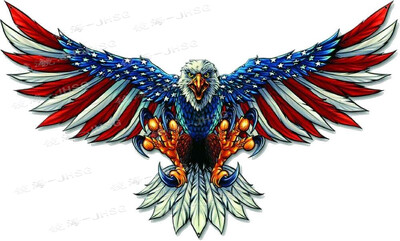 American Condor Eagle fejmatrica - autó, teherautó, motorkerékpár, laptop, lökhárító karcolás elleni matrica - vízálló